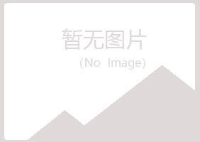 岐山县无果出版有限公司